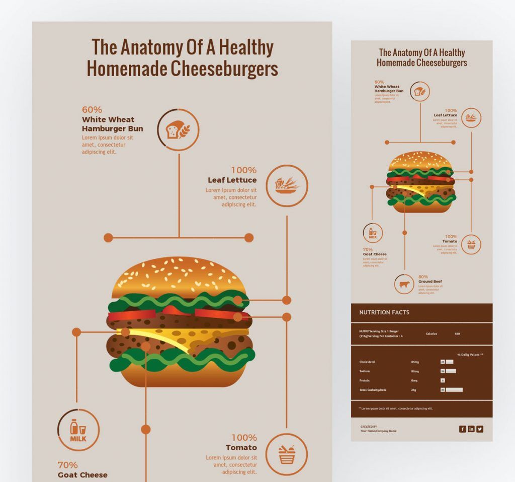 Anatomical-infographic